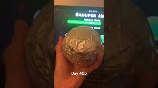 Adding Layers to My Aluminum Foil Ball Until I Graduate From College Day 405 [upl. by Aznecniv]