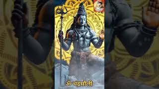 हरी ओम नमः शिवाय। Om namah shivay। Om shivay namah।shortvairalshorts।Chanting OM Namah Shivaya [upl. by Essam]