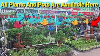 Nursery Visit  Plants With Price  Plants Nursery Carry Shop Nurseries Mughalpura lahore [upl. by Atteuqehs504]