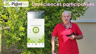 Plantnet  identifier une plante avec votre smartphone [upl. by Pandich]