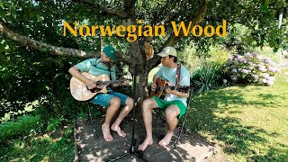 Norwegian Wood  The Beatles PRIDA Cover [upl. by Laidlaw832]