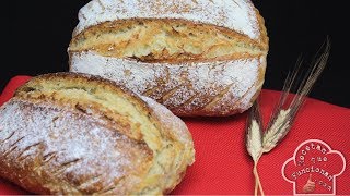 Pan casero con Masa madre Natural  La Receta Que Funciona [upl. by Cheadle]