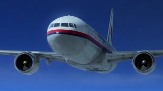 Malaysia Airlines Flight 17  Crash Animation [upl. by Tamanaha]