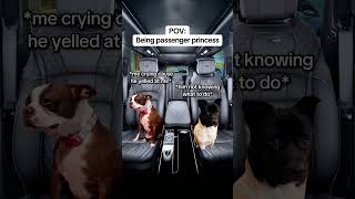 CAT MEMES 🐱Being passenger princess catmemes relatable relationship [upl. by Adnulahs]