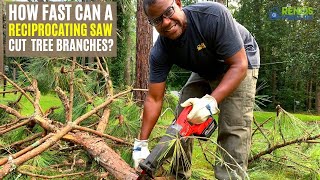 Using a Reciprocating Saw to Cut Tree Branches [upl. by Yatnohs40]