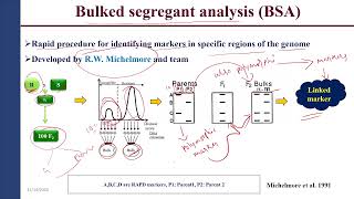 QTLSeq and BSRSeq [upl. by Katerine473]