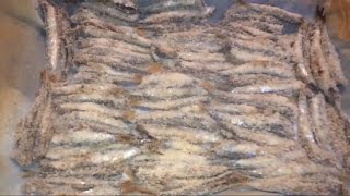 Receta boquerones NO FRITO [upl. by Redla]