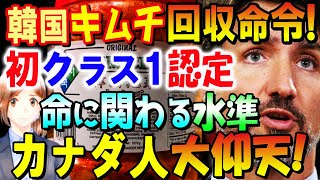 【海外の反応】韓国産キムチ（2L容器入）がカナダで大腸菌検出と判定され大規模緊急リコールに！「クラス1」（命に関わるレベル）のリコールは初！カナダ人「まじ？今食ってんだけど…」【カナダ人の反応】 [upl. by Aseena413]