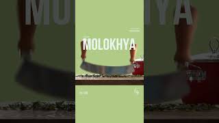 Molokhya 5100 in Blender3D cameraanimation photoshop blender بلندر بلندر tutorial animate [upl. by Burgwell]