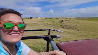 Papakolea Green Sand Beach  Big Island Hawaii  local shuttle on back of pickup truck at 16x speed [upl. by Nytsirk]