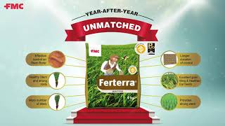 Ferterra® Insecticide for Paddy  Battle Against Dead Hearts in Rice Granules  FMC India [upl. by Iaka]