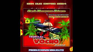 Mix Tropical Vochomania 2024 [upl. by Silra331]