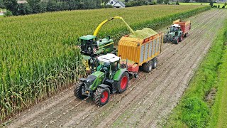 Mais Silage  John Deere 6850  Fendt  Niejoco  2021 [upl. by Salomie]