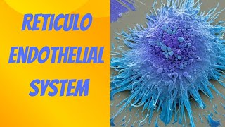 RETICULOENDOTHELIAL SYSTEM [upl. by Akenaj]