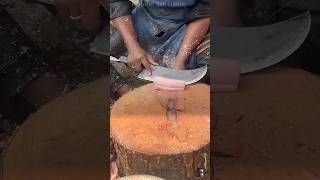 Unbelievable Fish Fillet Skills – Watch the Master at Work [upl. by Innavoij]