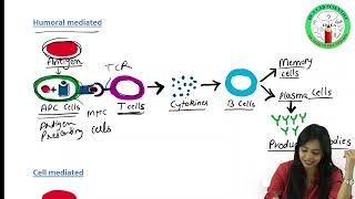 Antigen PART I  Types of Antigens  Immunogenicity  Antigenicity  Complete amp Incomplete Antigens [upl. by Nediarb]