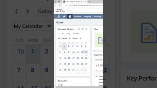 NetSuite Calendar Portlets [upl. by Nawiat]