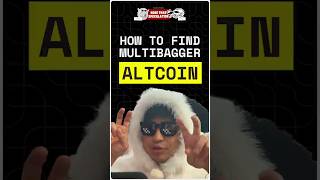 How to Find Interesting Altcoin crypto cryptoasset memecrypto [upl. by Klinger]