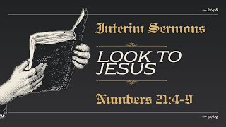 Look To Jesus  Numbers 2149 [upl. by Elianora]