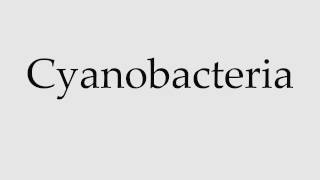 How to Pronounce Cyanobacteria [upl. by Annoyk35]