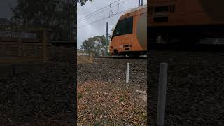 Waratah passing Toongabbie station platform 4 [upl. by Lsiel951]