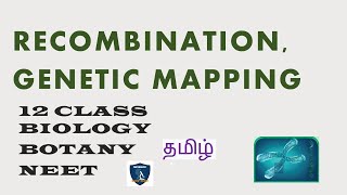 102 Identification of Recombinants [upl. by Kreit]