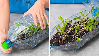 Unusual Hacks For Growing Plants Anywhere 🌱  Gardening Tips amp Hacks For Beginners 🌼 [upl. by Ayikat]