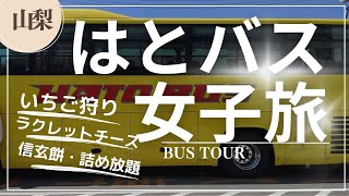 【女子旅・はとバス】山梨・日帰り旅。いちご狩り／信玄餅詰め放題／ラクレットチーズ／チューリップ畑／スイス料理／ハイジの村／シャトー酒折／バスツアー [upl. by Ocsirf]