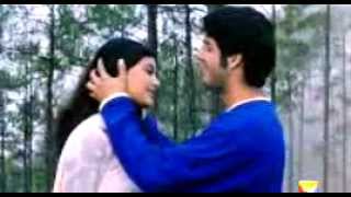 mai chahta hu tujhko dilo jaan full songmp4 [upl. by Anitroc786]