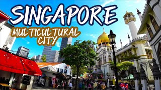 Multicultural Singapore [upl. by Butler]