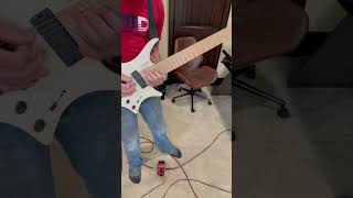 CAFO Animals as Leaders cover [upl. by Gweneth]