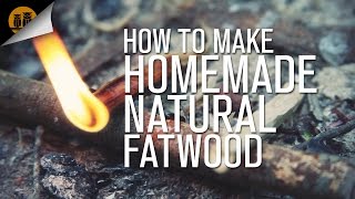 How To Make Homemade Natural Fatwood [upl. by Esojnauj]