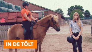 In de tölt  PaardenpraatTV [upl. by Aserat574]