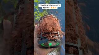 You won’t believe it’s power 🔥🔥🔥 bass bluetoothspeaker portablespeaker camping [upl. by Tucker]