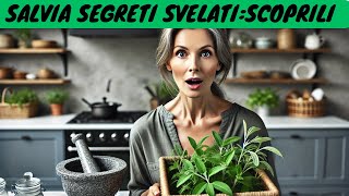 SALVIA I SUOI SEGRETI SVELATI SCOPRILI😮 [upl. by Clift]