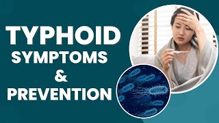 Typhoid Cases On Rise In India Know Early Signs Symptoms And Preventive Measures – Watch Video [upl. by Cissie]