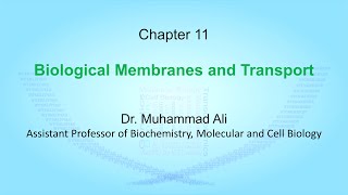 11 Biological Membrane and Transport [upl. by Esikram]