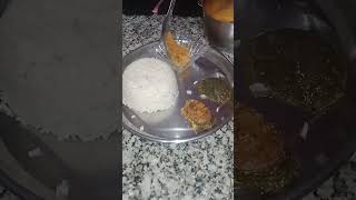 Yah Raat ki khana jhinga machhali ka malai curry machhali aur chatni 🤤😋🍛👍🏻🙏🏻food [upl. by Leslee]