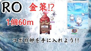 RO 金策 コポの卵が1個60mで売れるぞ [upl. by Niad277]