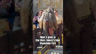 Chewbacca amp Rey Meet and Greet at Star Wars Galaxys Edge Disneyland Park [upl. by Dorreg]