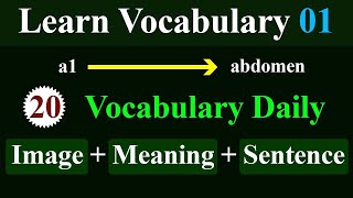 English Vocabulary Practice Part  01  a1 to abdomen  Word Meaning  Home of English [upl. by Cid]