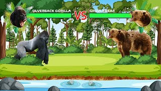 Silverback Gorilla Vs Grizzly Bear [upl. by Ahsilem792]