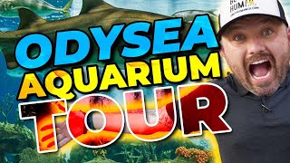 Odysea Aquarium Walk Through Scottsdale Arizona 2023 [upl. by Yecad]