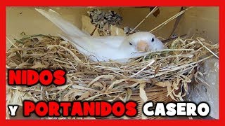 COMO HACER NIDOS para CANARIOS 🐤 COMO CONSTRUIR UN NIDO PARA LA CRIA DE CANARIOS Y JILGUEROS [upl. by Nwahsar]