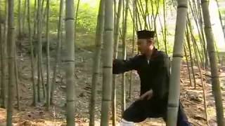 Wudang Kungfu  Iron Palm Training 武当功夫  掌法 [upl. by Yesiad536]