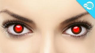 What Causes Red Eye In Photos [upl. by Cappella]