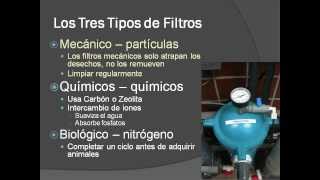 Tutorías Medicina de Anfibios Calidad de Agua [upl. by Aitercal]