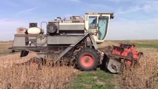 AllisChalmers Gleaner K2 Combine [upl. by Amalia679]