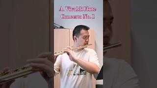 Baroque Flute Concerto vivaldi flute classicalmusic musician baroque [upl. by Nnalyrehc113]