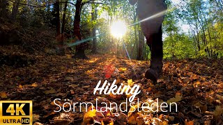 Hiking Sörmlandsleden in Stockholm Sweden [upl. by Roberts]